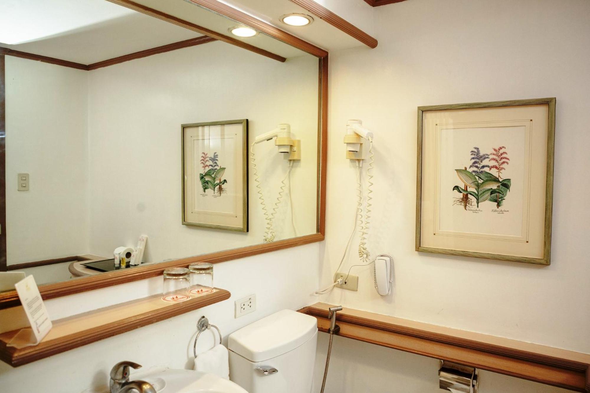 Premium Double or Twin Room